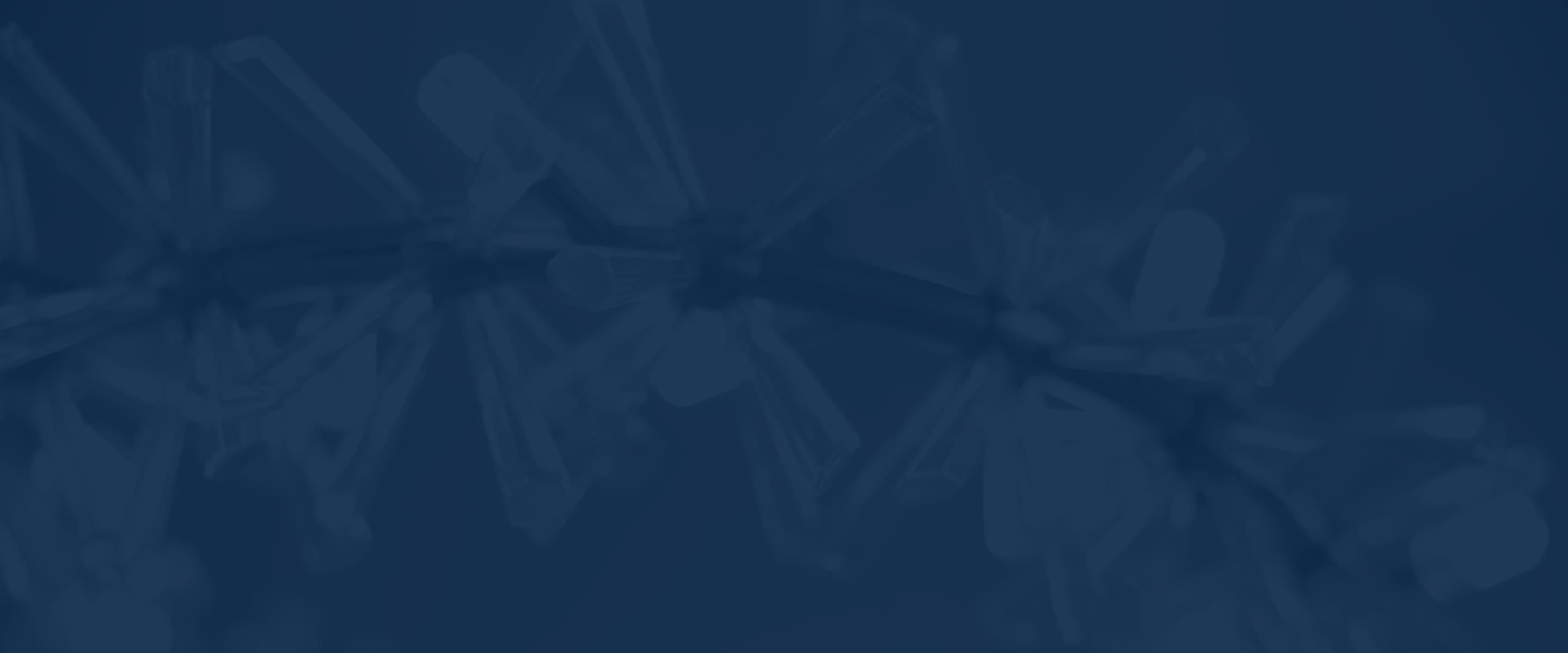 Banner media